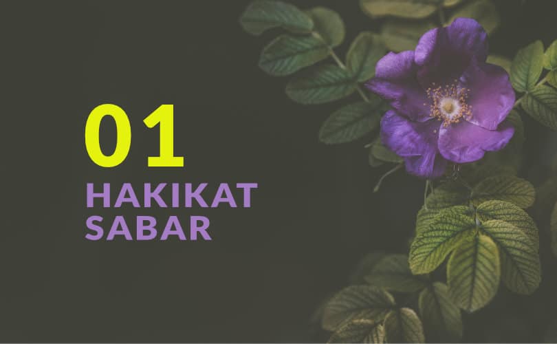 macam-macam kesabaran
