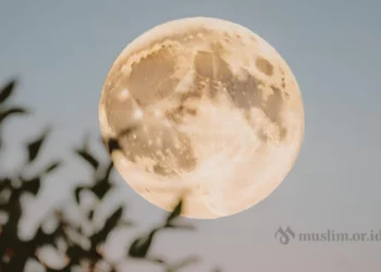 Panduan Puasa Ramadan