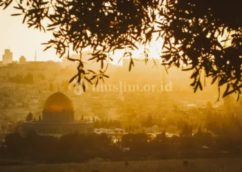 Modal Utama Meraih Kemenangan di Palestina
