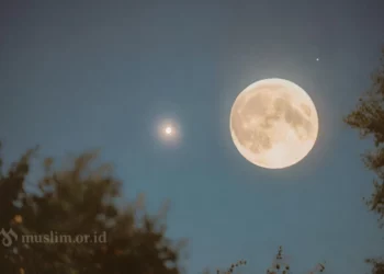 Berbenah Diri Menyambut Bulan Ramadhan