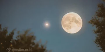 Berbenah Diri Menyambut Bulan Ramadhan