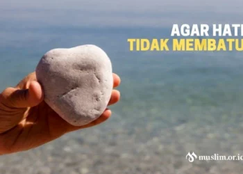 Agar Hati Tidak Membatu
