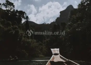 Temuilah abu bakar