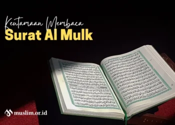 surat al mulk