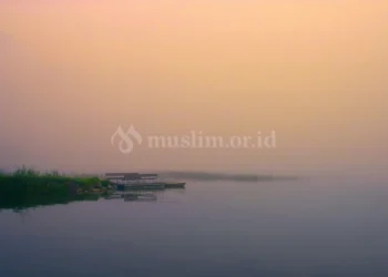 tawadhu