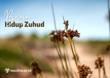 belajar hidup zuhud