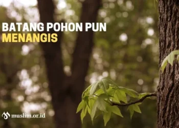 Batang Pohon pun Menangis