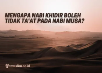 Nabi Khidir tidak menaati Nabi Musa