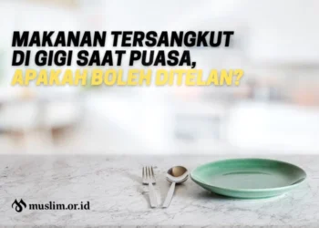 Makanan Tersangkut Di Gigi