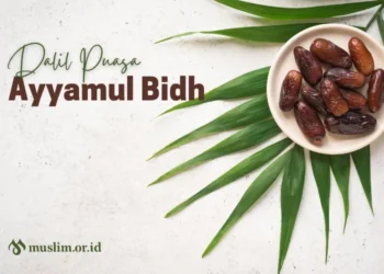ayyamul bidh