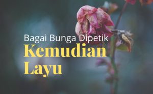 Kehidupan Dunia