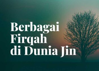 dunia jin