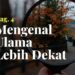 mengenal ulama lebih dekat