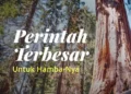 perintah Allah