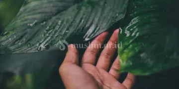 Menyentuh yang bukan mahram