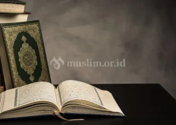 Syaikh Al Albani