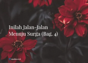 pakaian penduduk surga