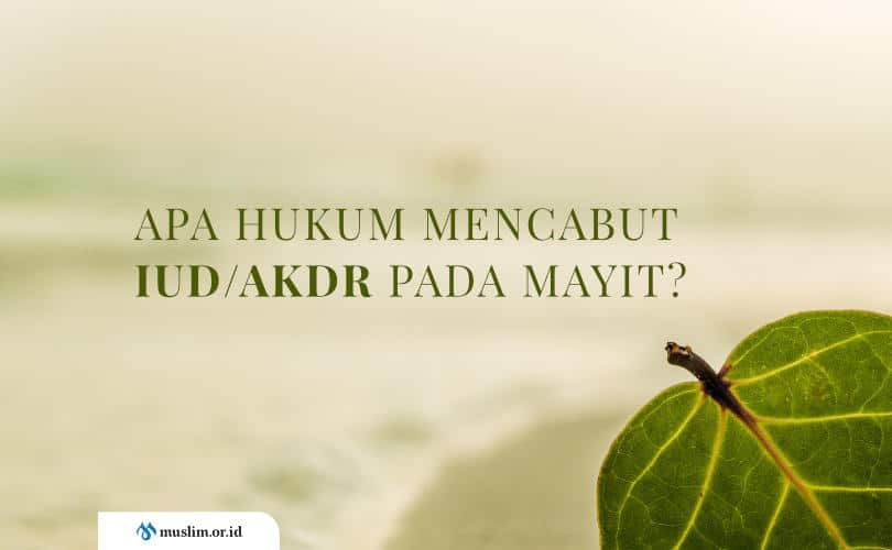 IUD, AKDR, kontrasepsi rahim