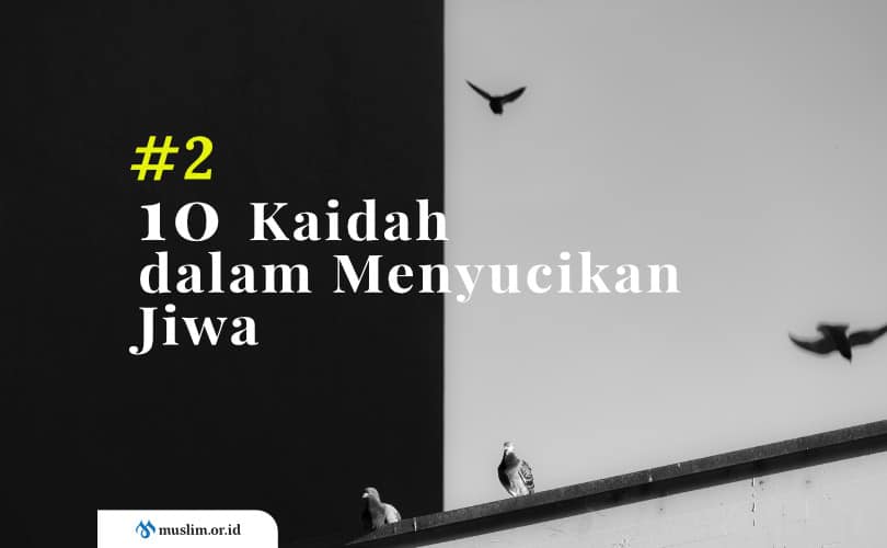 tazkiyatun nafs, penyucian jiwa, tauhid