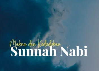 kedudukan sunnah