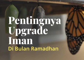 Upgrade Iman