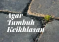 tumbuh keikhlasan