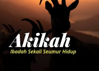 Akikah