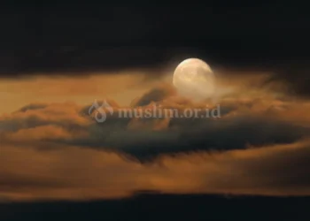 Rasulullah menghidupkan malam