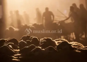 Peristiwa penting di bulan zulhijah