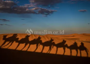 Pelajaran Penting dari Kisah Hijrah Nabi