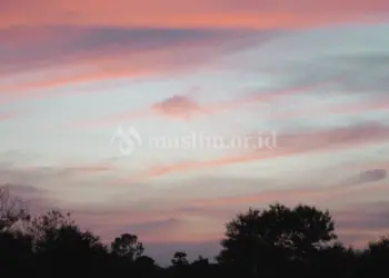 Tanggapan Kaum Musyrikin terhadap Dakwah Tauhid
