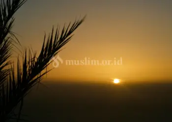 Yang Hendaknya Dilakukan ketika Melayat