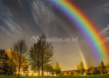 Bermuamalah dengan Kaum LGBT