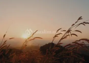 Hikmah Penciptaan Jin dan Manusia