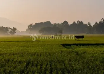 Agungnya Nikmat Keamanan