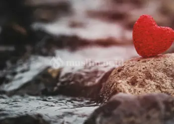 Berkenalan dengan Hati 2