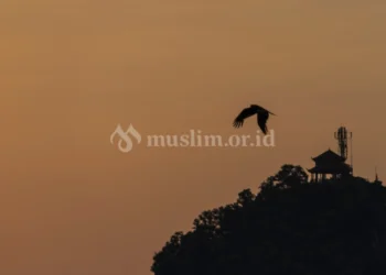 Solusi Saat Anggapan Sial Menghampiri