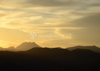 Tingkatan Hikmah dalam Berdakwah