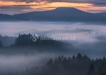 Contoh Praktik Dakwah dengan Hikmah