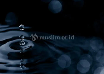 Ludah dalam islam
