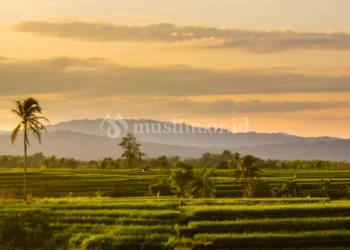 Mengingat Nikmat dan Memperbanyak Syukur