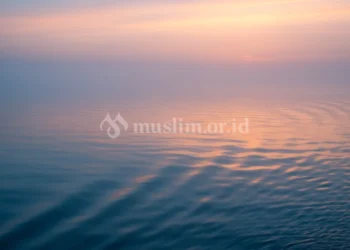 Tidak Ada Pengingkaran dalam Masalah Ijtihad
