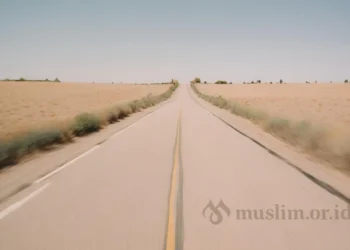 Sunatullah
