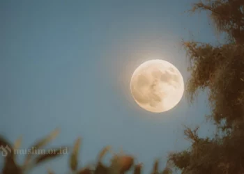 Akan Kumaksimalkan Ramadan Tahun Ini dengan Lebih Baik