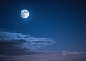 Memaksimalkan Ibadah di Bulan Zulhijah
